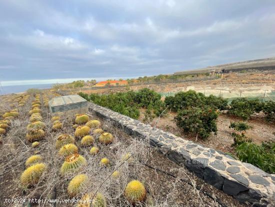 ¡Descubre tu paraíso privado! Finca productiva con vistas al mar y construcción de 2203 m2 - SANT