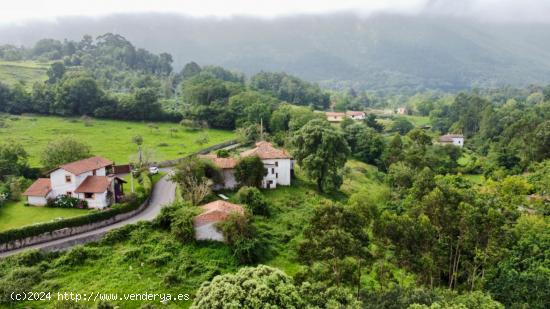 CASONA ASTURIANA A 1,5 KM DE LA PLAYA DE GUADAMIA - ASTURIAS