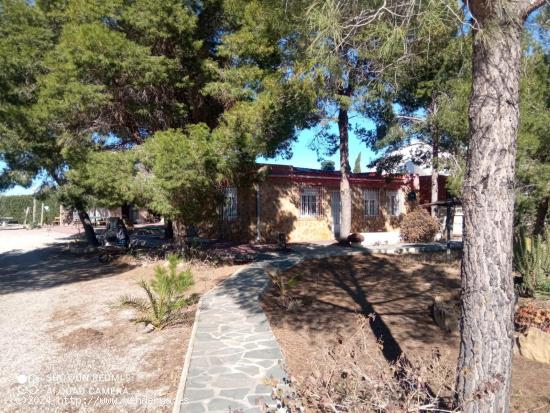 Casa con terreno en Cañadas de San Pedro - MURCIA