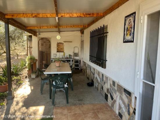 Finca rustica con casa Vinallop - TARRAGONA