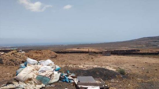 SE VENDE Suelo Rústico en el municipio de Teguise - Teguise