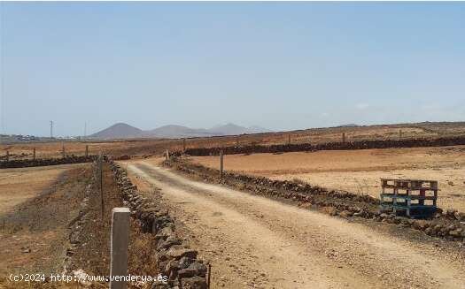 SE VENDE Suelo Rústico en el municipio de Teguise - Teguise