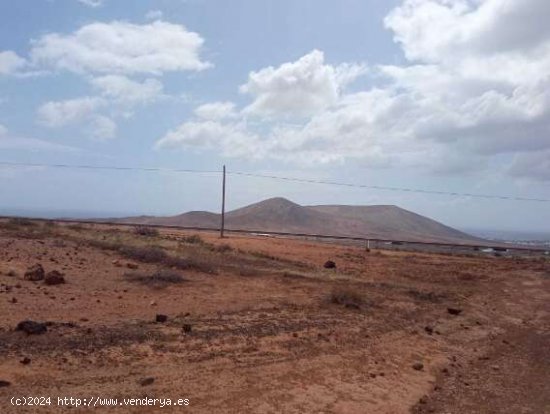 SE VENDE Suelo Rústico en el municipio de Teguise - Teguise