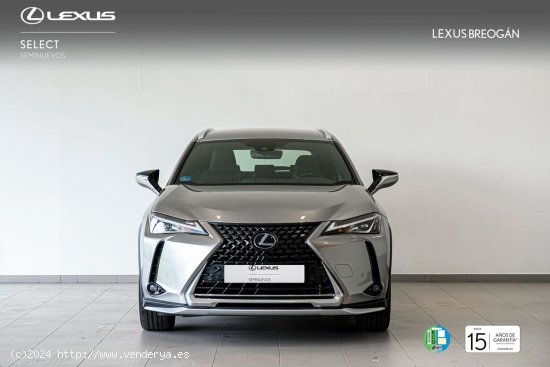 Lexus UX 250H 4WD EXECUTIVE NAVIGATION - A Coruña