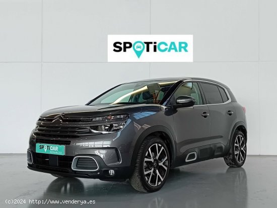  Citroën C5 Aircross  BlueHdi 96kW (130CV) S&S Feel - Mataro 