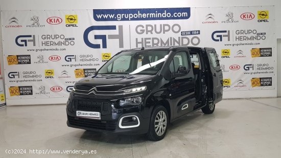  Citroën Berlingo TALLA M BLUE HDI 100 CV FEEL - Ponteareas 