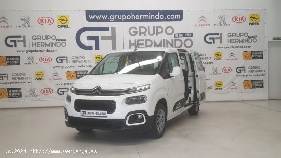  Citroën Berlingo TALLA M BLUE HDI 100 CV FEEL - Ponteareas 