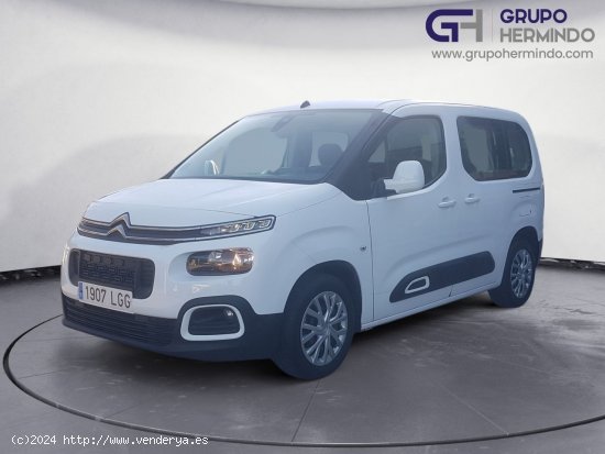 Citroën Berlingo TALLA M BLUE HDI 100 CV FEEL - Ponteareas