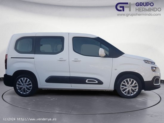 Citroën Berlingo TALLA M BLUE HDI 100 CV FEEL - Ponteareas