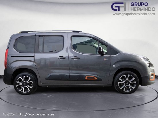 Citroën Berlingo TALLA M BLUE HDI 100 CV SHINE - Ponteareas