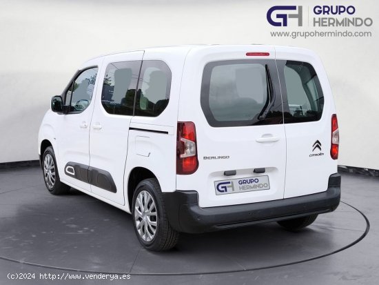 Citroën Berlingo TALLA M BLUE HDI FEEL - Ponteareas