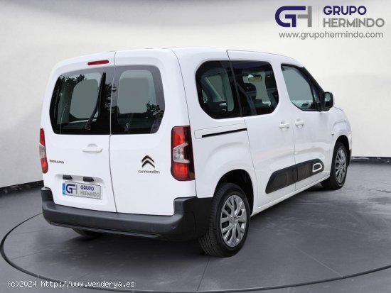 Citroën Berlingo TALLA M BLUE HDI FEEL - Ponteareas