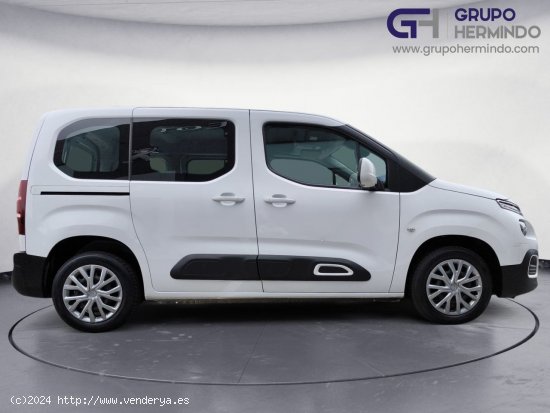 Citroën Berlingo TALLA M BLUE HDI FEEL - Ponteareas