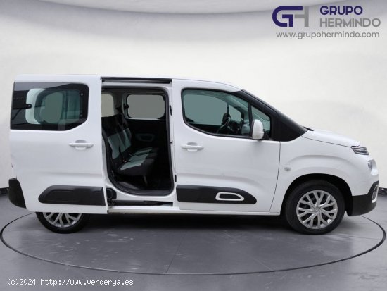 Citroën Berlingo TALLA M BLUE HDI FEEL - Ponteareas