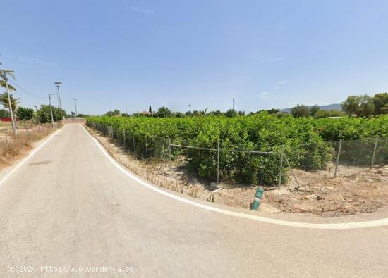 SE VENDE TERRENO PARA CHALET EN CASILLAS - MURCIA