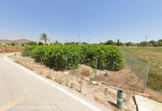 SE VENDE TERRENO PARA CHALET EN CASILLAS - MURCIA