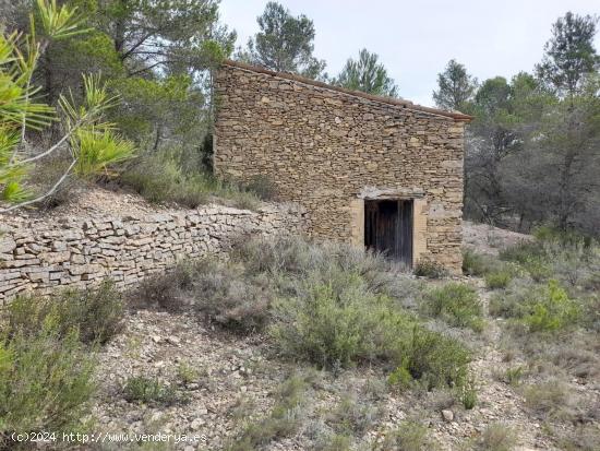  FINCA RUSTICA EN MORA D´EBRE CON MASIA DE PIEDRA SECA - TARRAGONA 