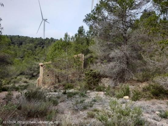 FINCA RUSTICA EN MORA D´EBRE CON MASIA DE PIEDRA SECA - TARRAGONA