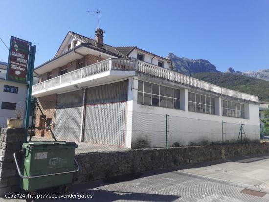 SE ALQUILA LOCAL COMERCIAL EN RAMALES DE LA VICTORIA (CANTABRIA) - CANTABRIA