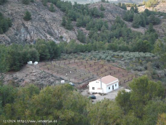  Casa de una planta con terreno de  8.000 m2 en Purchena. ( Almería ). - ALMERIA 