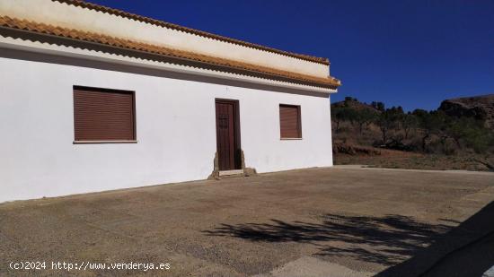 Casa de una planta con terreno de  8.000 m2 en Purchena. ( Almería ). - ALMERIA