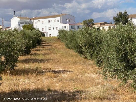  ALCÓNTAR ( EL HIJATE DE ALMERÍA ).PARCELA CON VIVIENDA - ALMERIA 