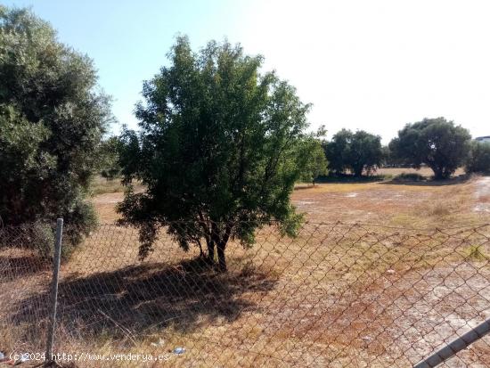 SUELO EN CAMINO LA RULA - MUTXAMEL - ALICANTE