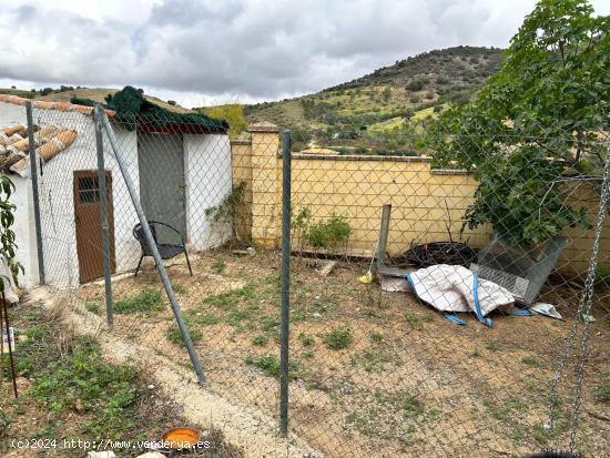 ¡¡PRECIOSA PARCELA CON PISCINA EN VILLANUEVA DEL REY!! - CORDOBA