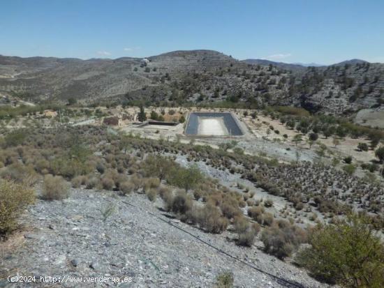 Parcela para construcción de vivienda. Zona Casarejos, Puerto Lumbreras. - MURCIA