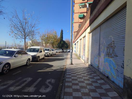 local comercial Chana - GRANADA