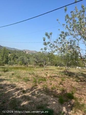 TERRENO URBANIZABLE EN SANT JOSEP DE LA MUNTANYA - TARRAGONA