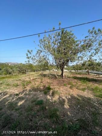 TERRENO URBANIZABLE EN SANT JOSEP DE LA MUNTANYA - TARRAGONA