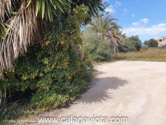 Bonito solar en zona tranquila de Ses Salines - BALEARES