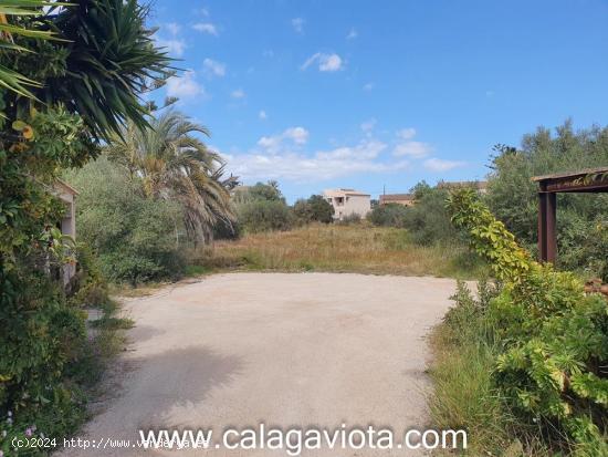 Bonito solar en zona tranquila de Ses Salines - BALEARES