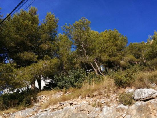 GRAN TERRENO CON VISTAS EN URBANIZACION EN QUINTMAR - BARCELONA