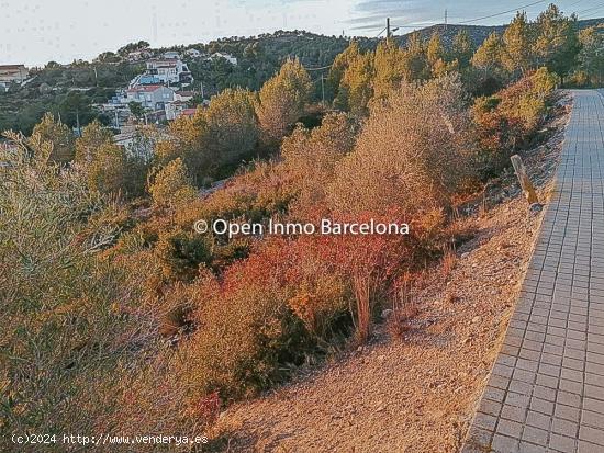 Terreny a Olivella - Les Colines - BARCELONA