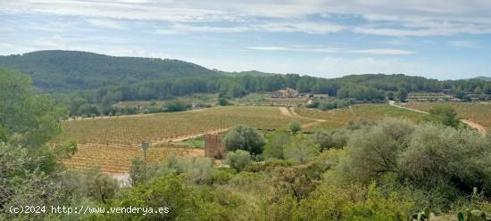 TERRENO URBANIZABLE CAN LLOSES - BARCELONA