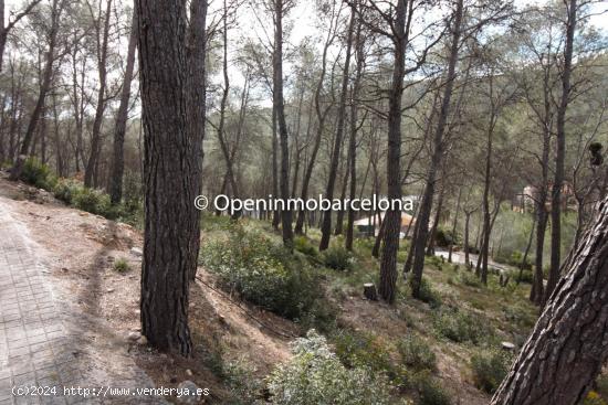 PARCELA EN OLIVELLA, LAS COLINAS - BARCELONA