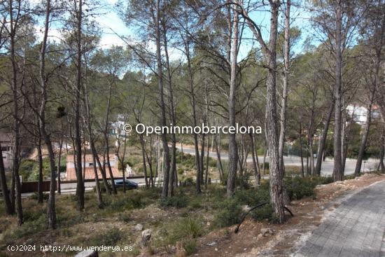 PARCELA EN OLIVELLA, LAS COLINAS - BARCELONA