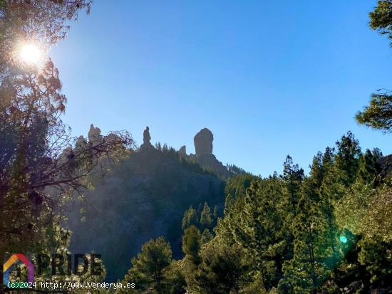 Se Vende Casa Cueva y Finca cerca de Roque Nublo - LAS PALMAS