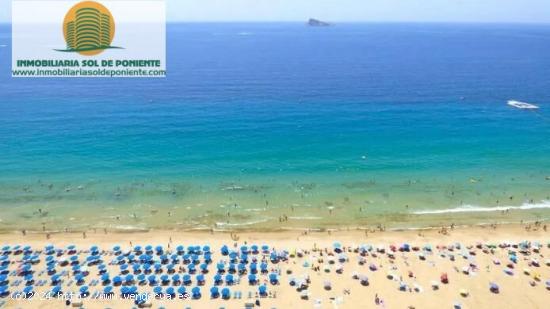  Piso en Primera linea Benidorm planta alta con vistas de escándalo. - ALICANTE 