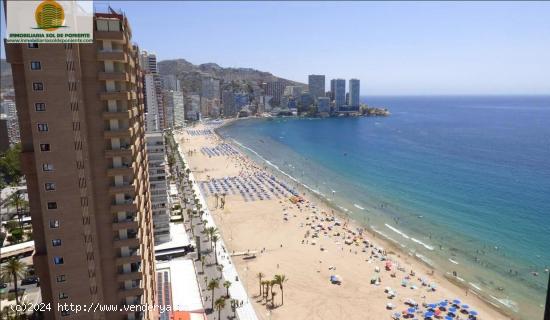 Piso en Primera linea Benidorm planta alta con vistas de escándalo. - ALICANTE