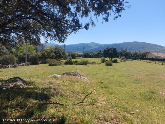 101-JU Buscas un terreno para construir ??, aquí tienes esta oportunidad - SEGOVIA