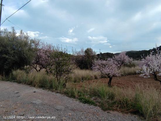 Se Vende en Borriol - CASTELLON