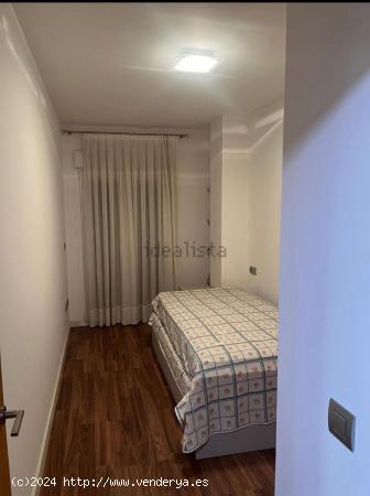 ALQUILER DE VIVIENDA ZONA CENTRO DE ALICANTE DE 2 DORMITORIOS - ALICANTE