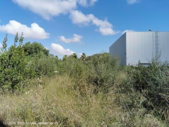 Finca Rústica en zona Ses Salines con proyecto edificación - BALEARES