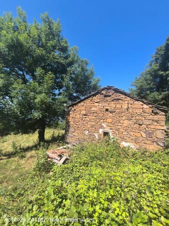 Finca de 36.165 m² con Cuadra para Reformar en Longanedo, Aller -  Oportunidad Única  - ASTURIAS