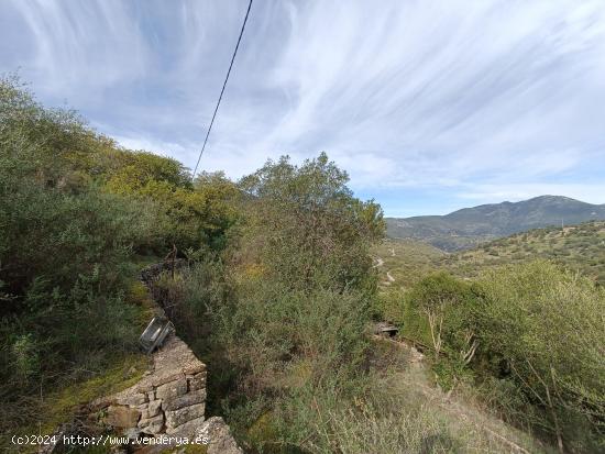 VENTA PARCELA. ZONA TAVIZNA - CADIZ