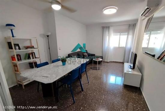 ¡Piso Ideal para Estudiantes en Alquiler en Ciutat Jardí, Valencia! - VALENCIA