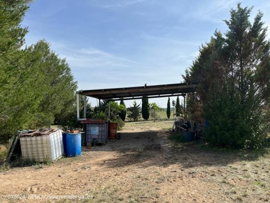 PARCELA VALLADA DE  4000M2 MAS 12500M2 MAS , TOTAL 16.500M2 - ALBACETE